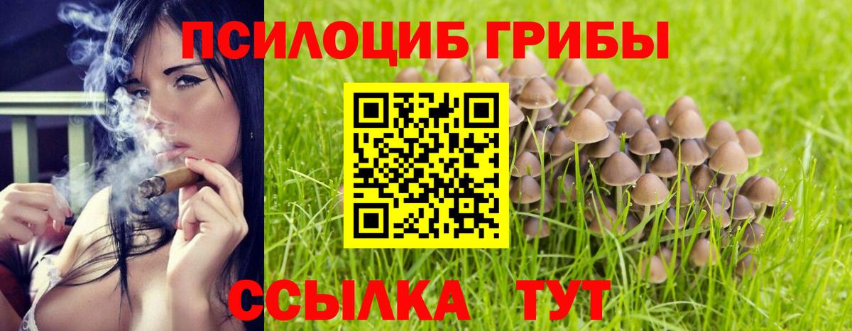 Галлюциногенные грибы Magic Shrooms  Вход с VPN  Шебекино 